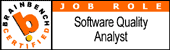 Software Quality Analyst